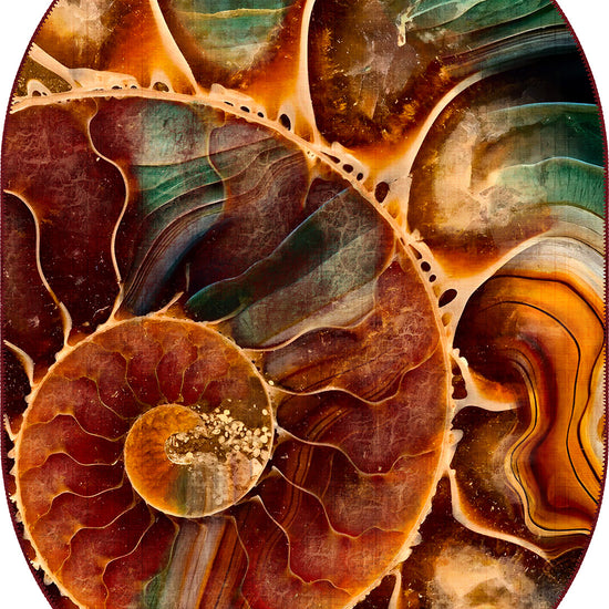 Oval Rugs