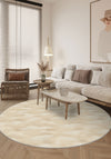 Living Room Rugs