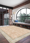 Alexis Transitional Rug