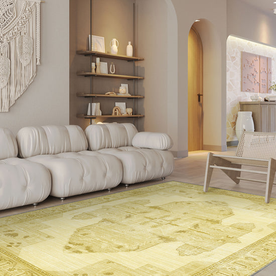 Living Room Rugs