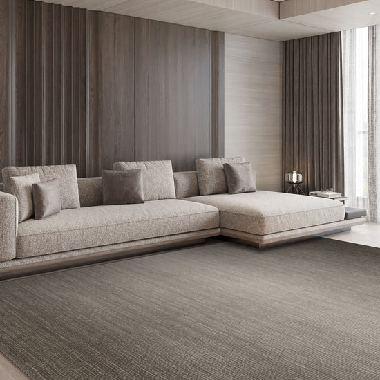 Living Room Rugs