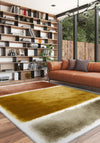 Living Room Rugs