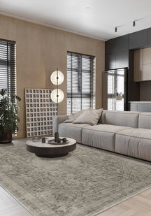 Living Room Rugs