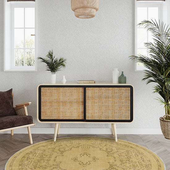Entryway Rugs