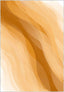 Jaxon Modern Orange Rug