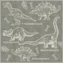 Square Rugs