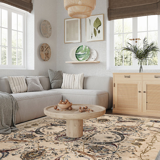 Living Room Rugs