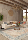Living Room Rugs