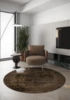 Ayden Bordered Brown Rug