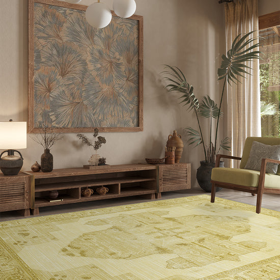 Living Room Rugs