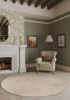 Entryway Rugs