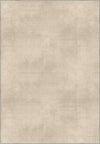 Light warm beige rug for living room.