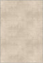 Light warm beige rug for living room.