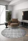 Larona Grey Distressed Rug