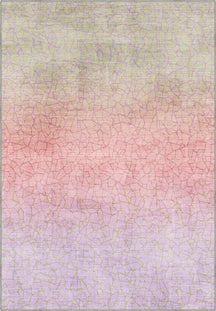 Wesley Geometric Distressed Rug