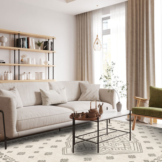 Living Room Rugs