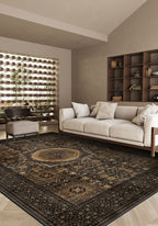 Living Room Rugs