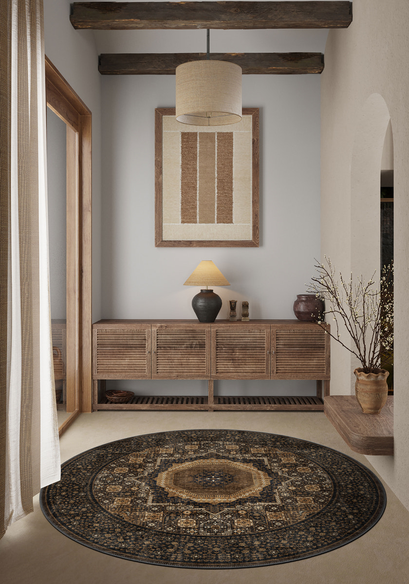 Entryway Rugs