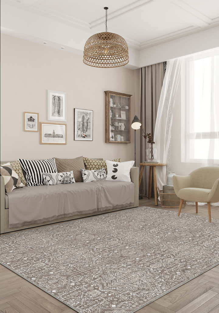 Living room with a patterned rug, sofa, and decorative elements.