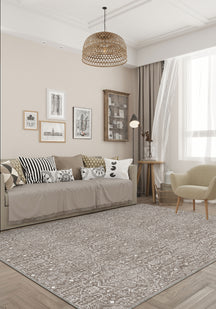 Living room with a patterned rug, sofa, and decorative elements.