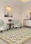 Living Room Rugs