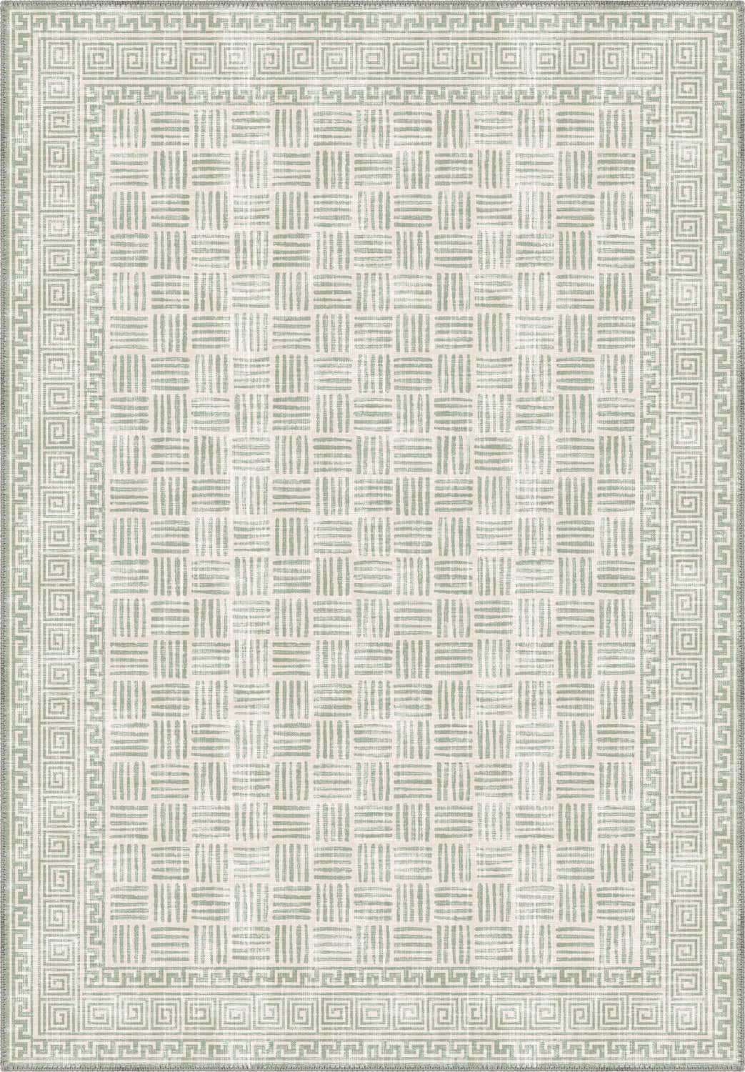 Soft green rug for living room.