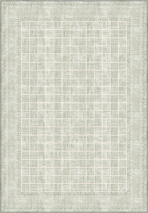 Soft green rug for living room.