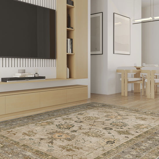 Living Room Rugs