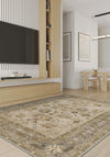 Living Room Rugs