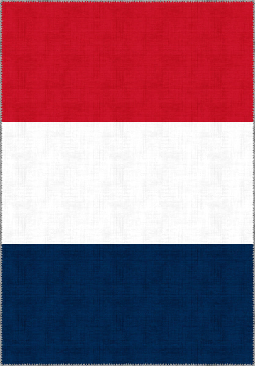 Valois French Flag Rug