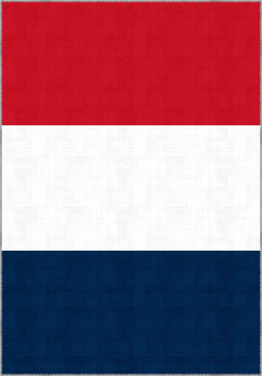 Valois French Flag Rug
