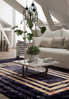 Living Room Rugs